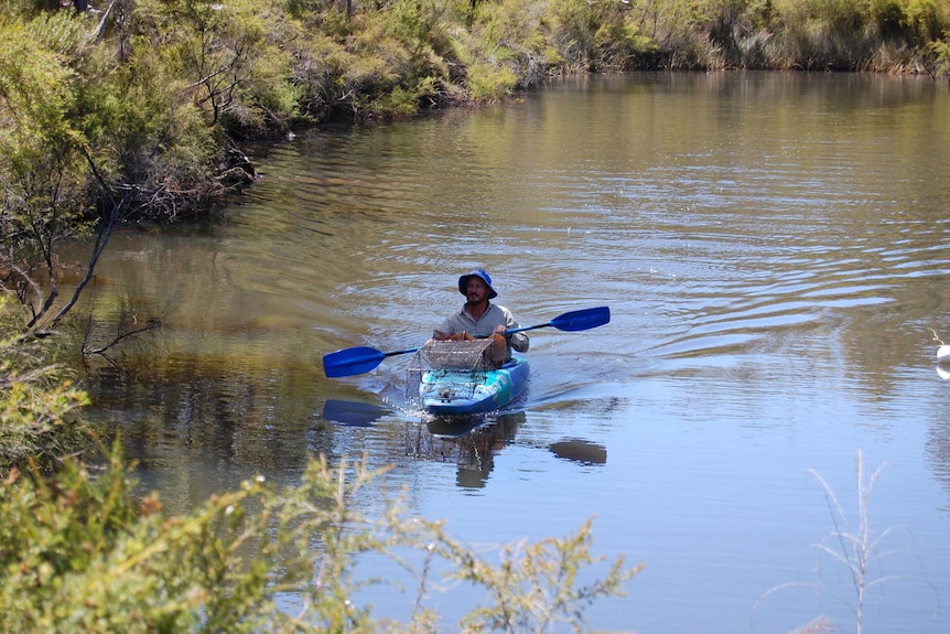 Mike Braimbridge paddling a canoe on a waterway with a marron cage on the front.