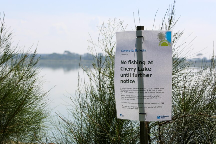 A laminated sheet attached to a wooden pole warns people not to fish in the lake until further notice due to pollution.