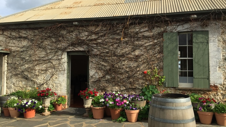 Winery cellar door in McLaren Vale.