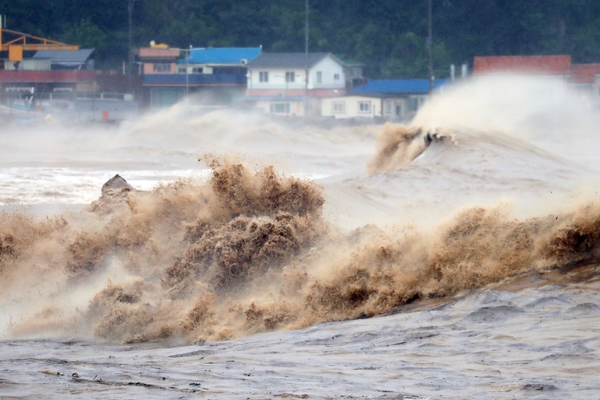 Brown waves hit a shore in Pohang, South Korea