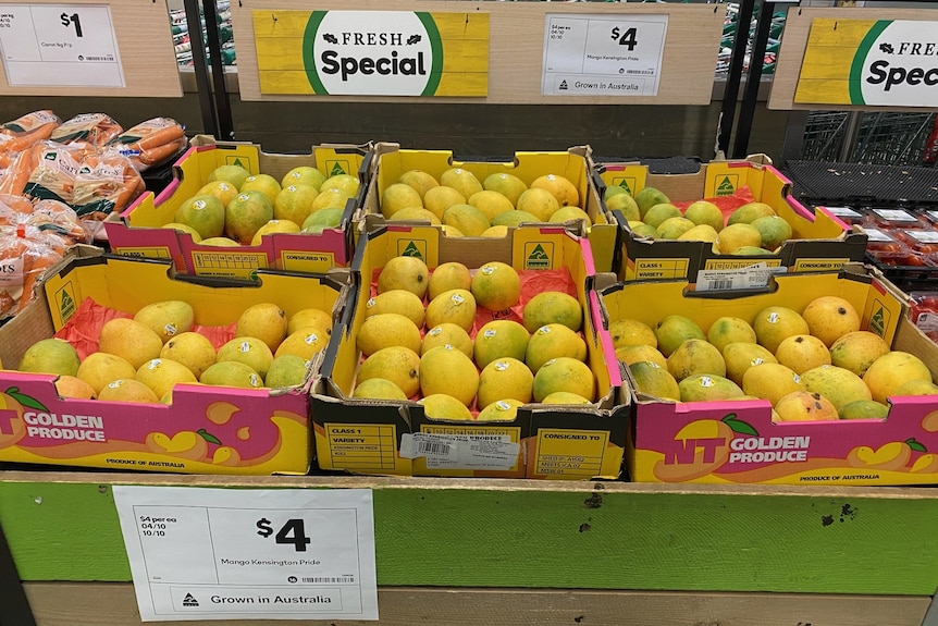mangoes in supermarket