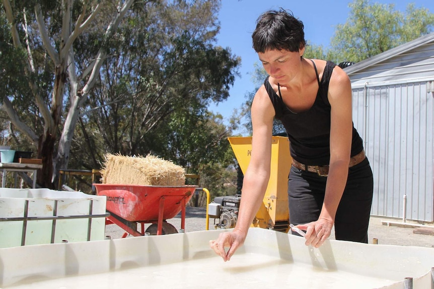 A female leans over a 1.5 metre square water container to test the water's PH levels.