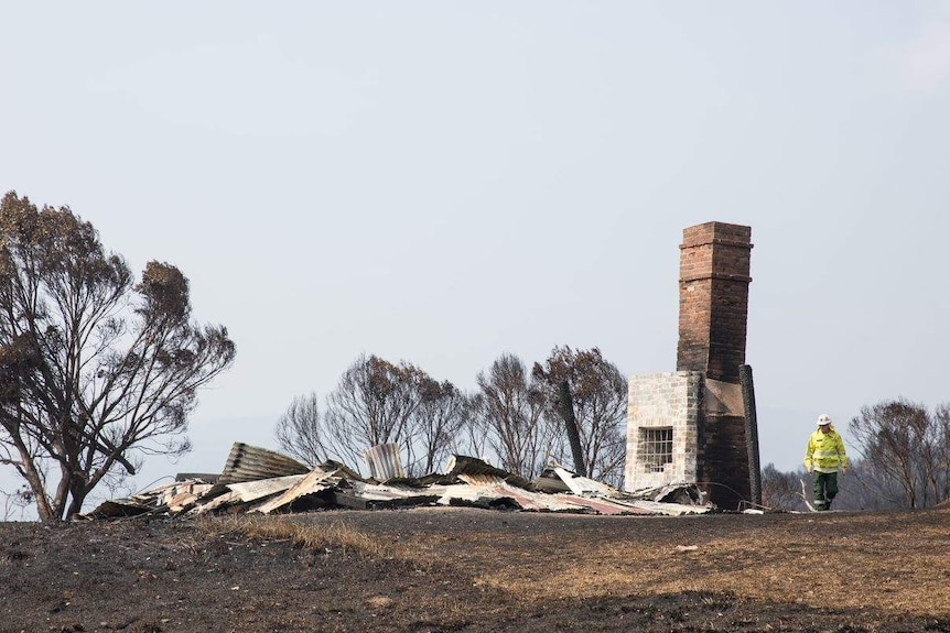 A park ranger inspects the ruins of an old hut, where now just a brick chimney stands.