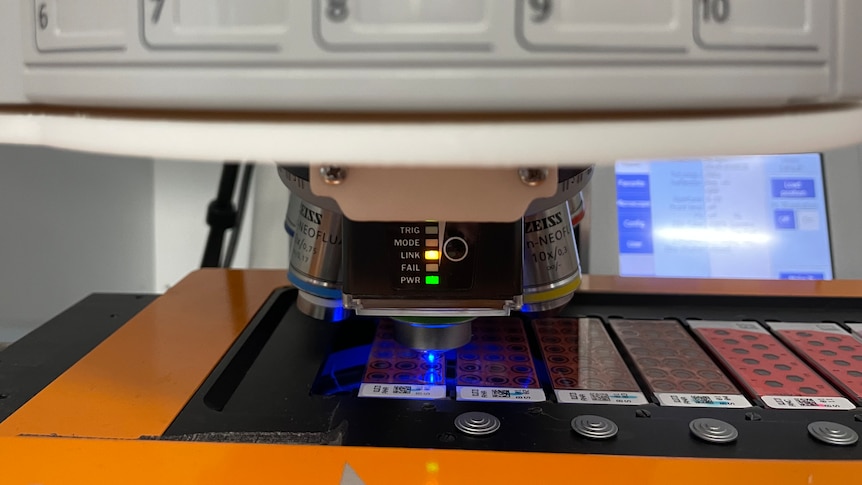 An AI microscope scans slides of human blood tests at Sullivan Nicolaides Pathology