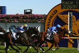 No good: All the Good will not race at Flemington on Tuesday.