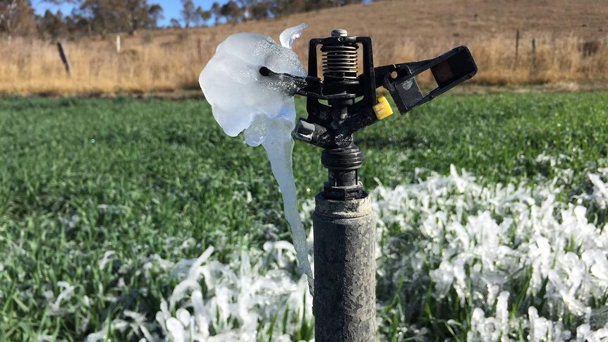 Frost on an irrigator in Warwick after a cold night in Southern Queensland on July 14, 2018.