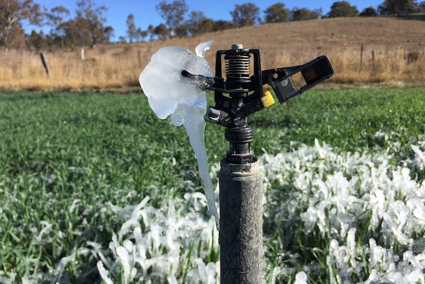 Frost on an irrigator in Warwick after a cold night in Southern Queensland on July 14, 2018.