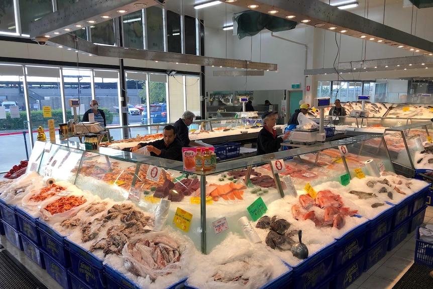 Seafood lies on ice at an indoor seafood market.