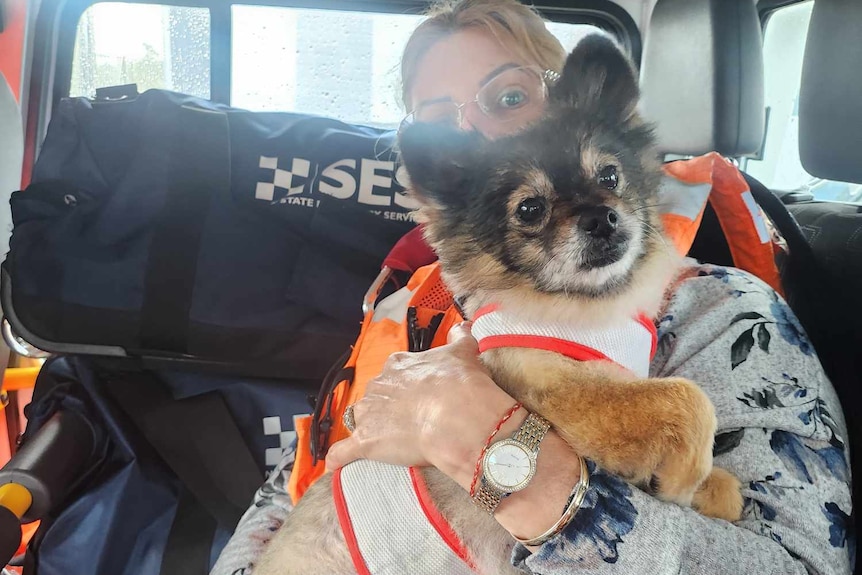 A woman sits in the back of an emergency vehicle. She is cradling a small dog.