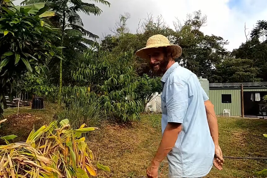 A man turns towards the camera as he walks near fruit plants.