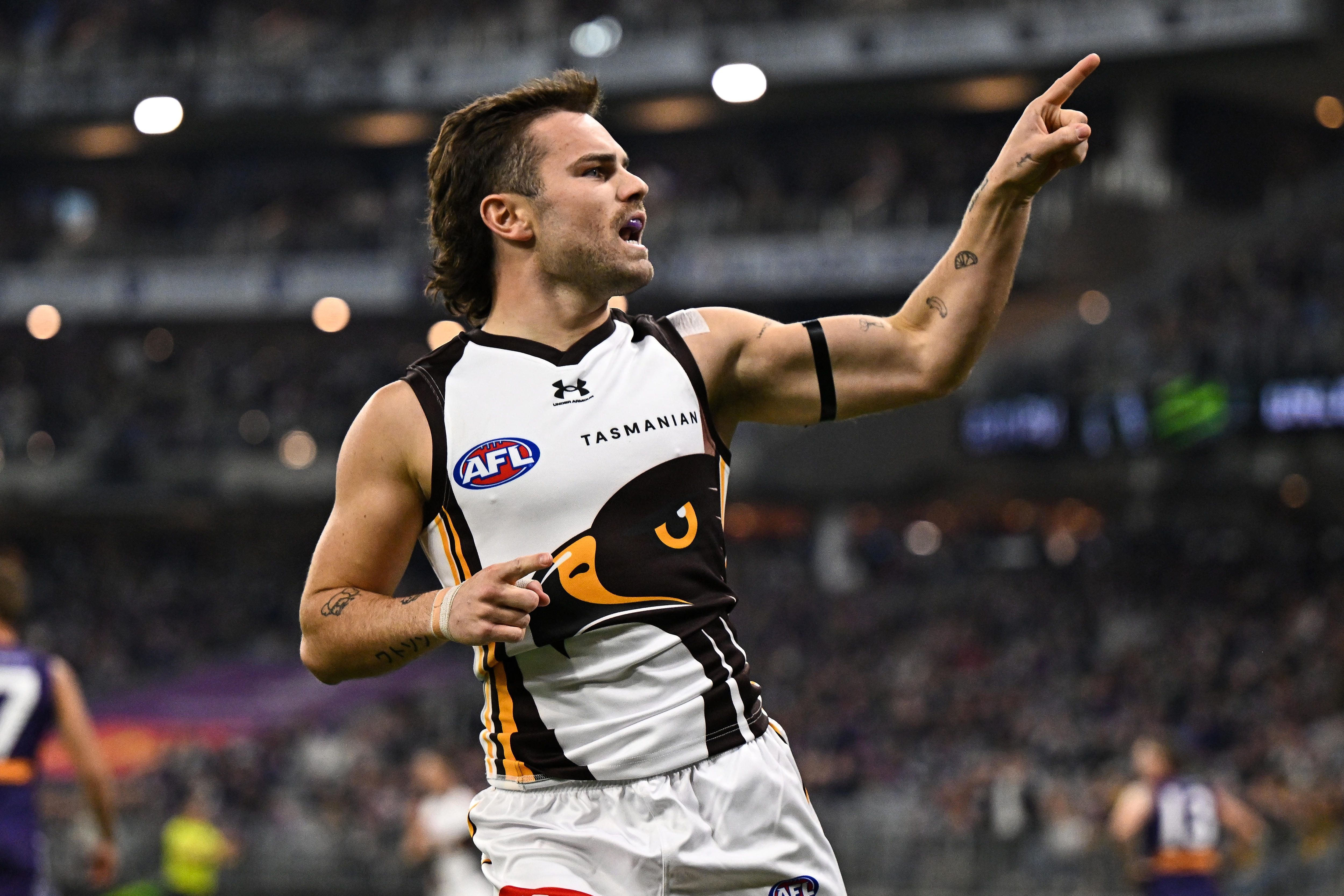 Pickett Pocket vs Wizard Bay, Pies aren't contending and Crows false narrative