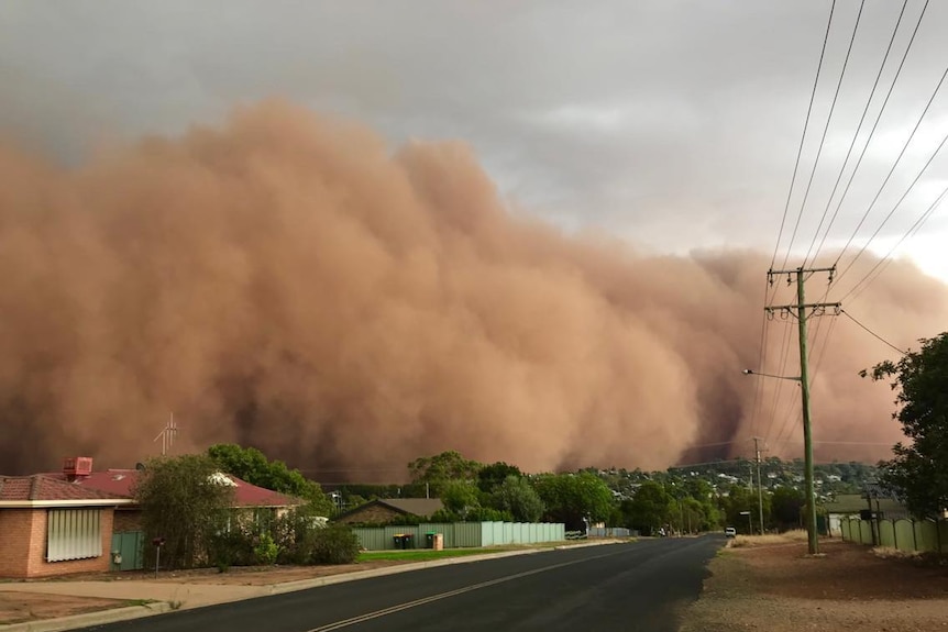 A massive cloud of red dust behind a residential street. The grey sky can be seen behind the dust.