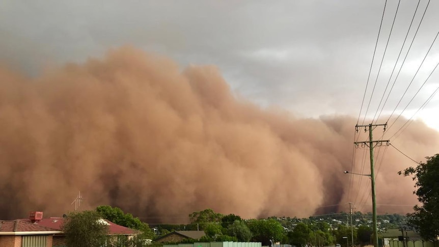 A massive cloud of red dust behind a residential street. The grey sky can be seen behind the dust