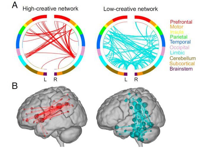 Diagrams showing networks in the brain