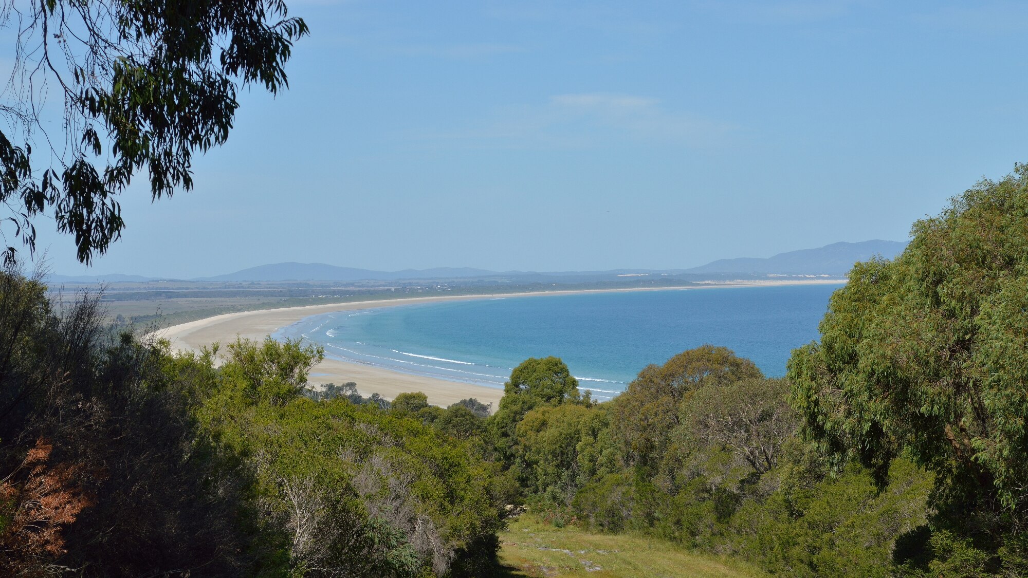 Ocean and beach in the distance, trees and park in the foreground.