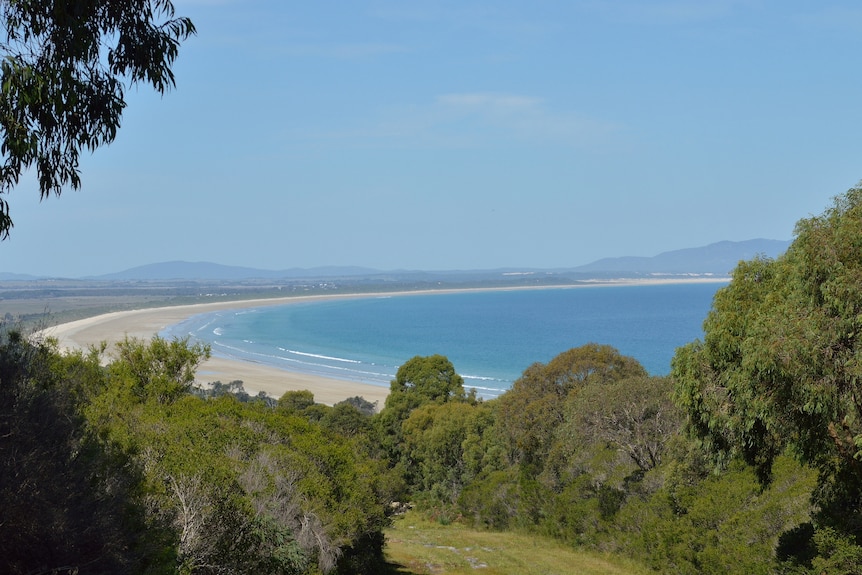Ocean and a beach in the distance, with trees and parkland in the foreground.
