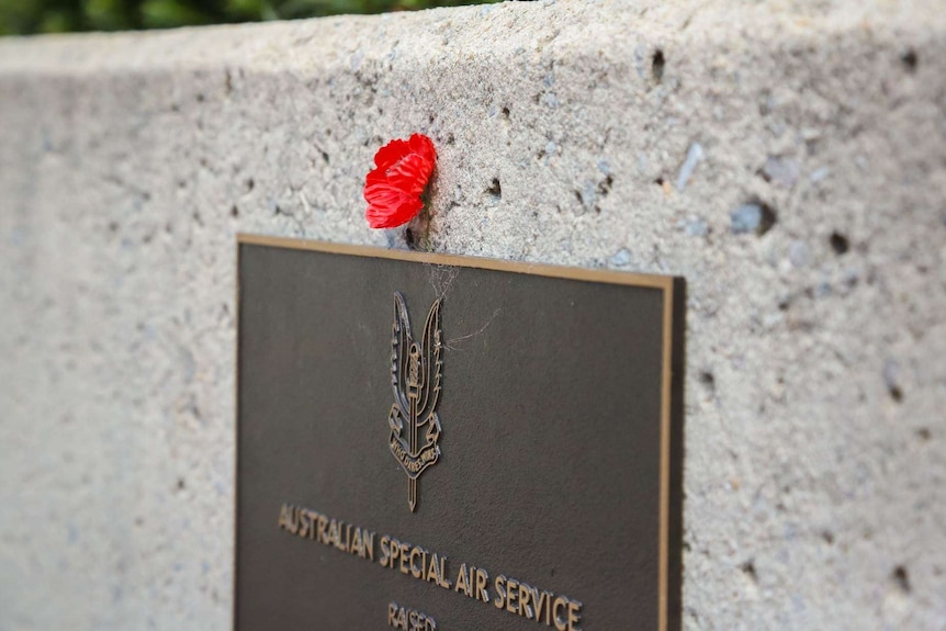 A single poppy sits above a plaque for the Australian Special Air Service, at the Australian War Memorial in Canberra.