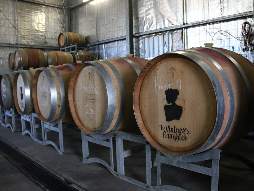 A row or wooden barrels in a warehouse with pinot noir written on their front.