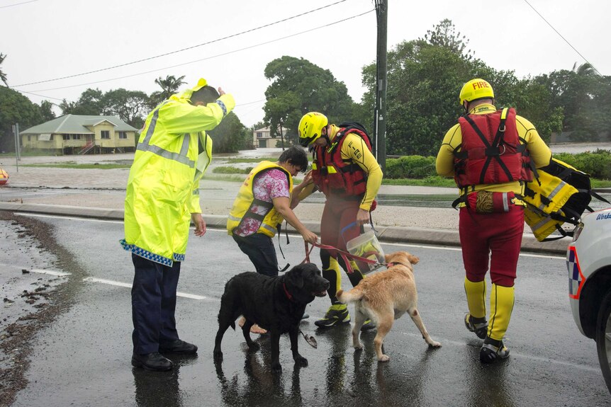 A resident is assisted by the QFES swift water Rescue team - including two dogs -  in Mackay.