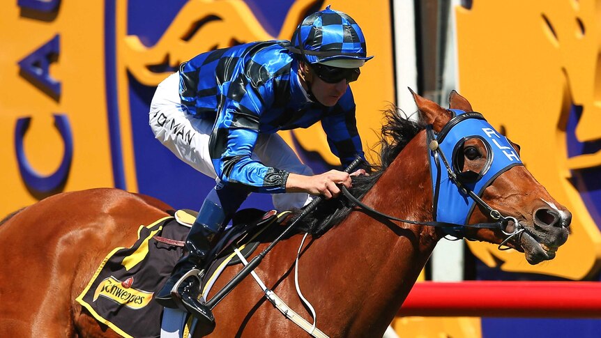 Buffering wins the Schillaci Stakes