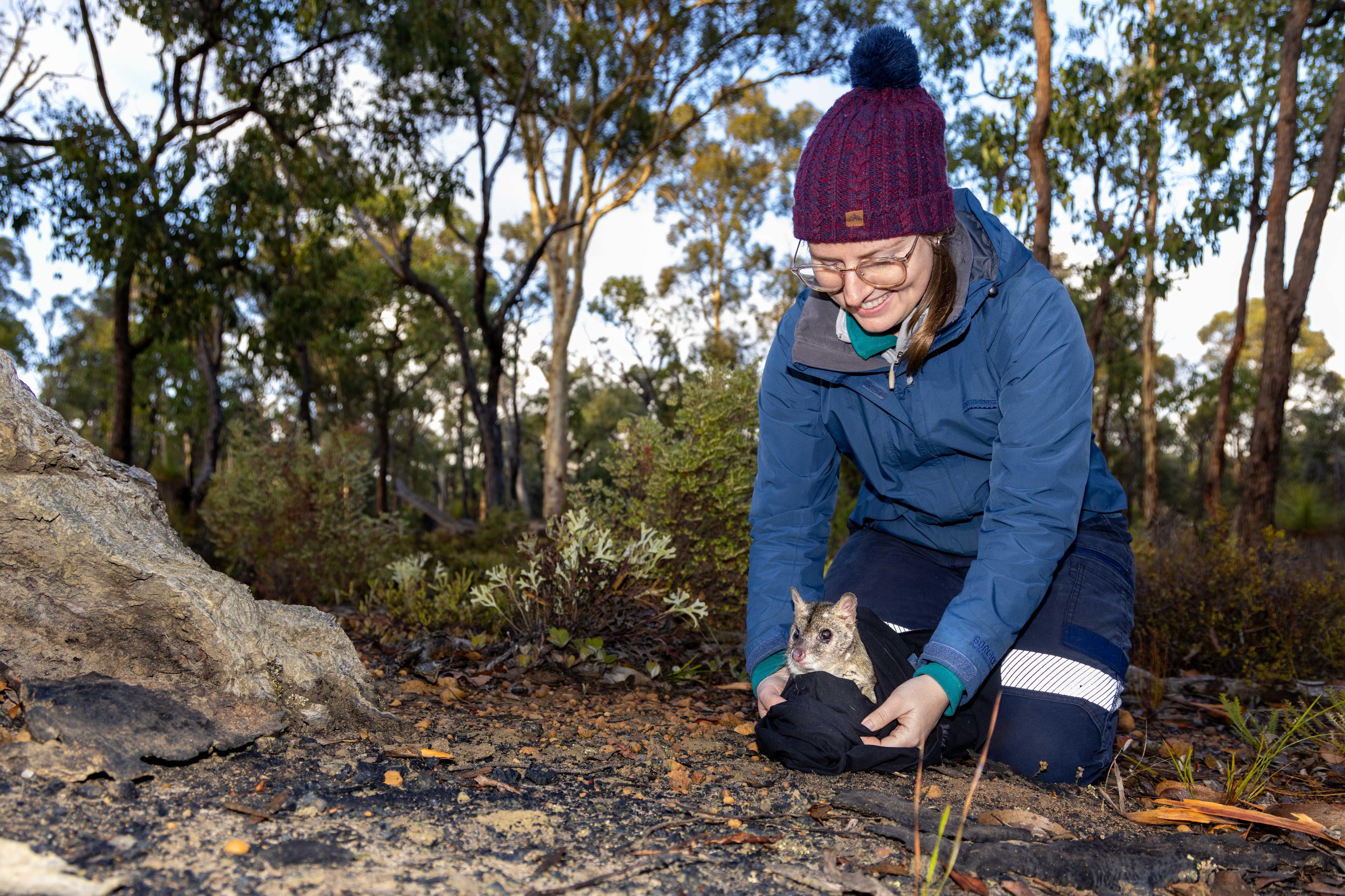 A woman smiles as she holds a quoll wrapped in a blanket on the ground of a bush land area