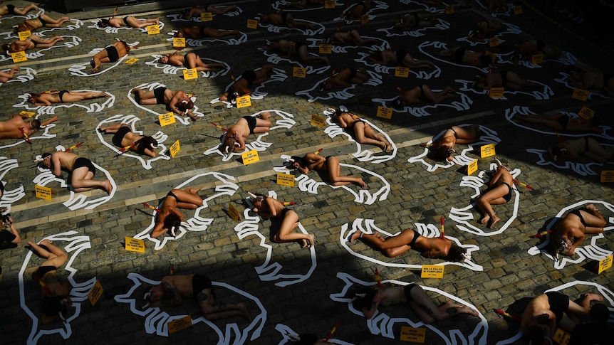 Topless people lay on the ground in the middle of chalked outline of bulls.