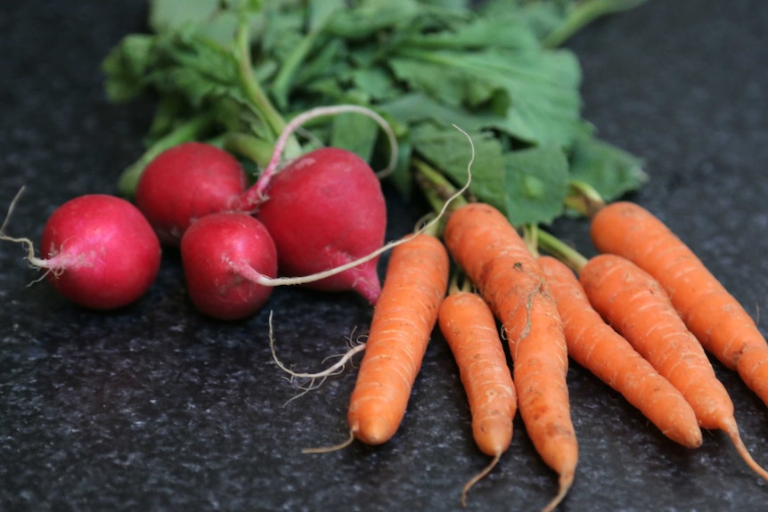 Carrots and radishes on a dark bench, representing a DIY vegetable garden that doesn't require a backyard.
