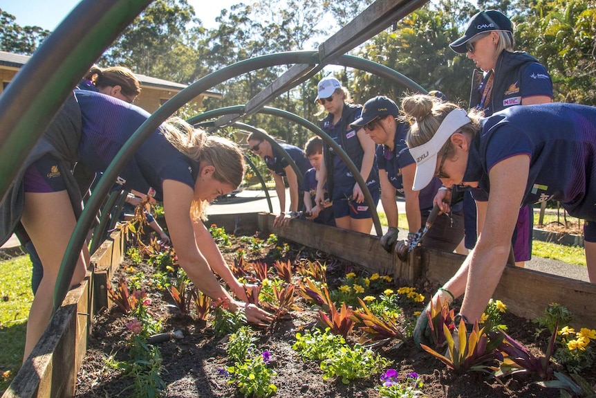 Sports team planting plants in a community garden