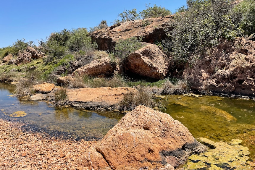 Qualing Pool near Exmouth in December 2021