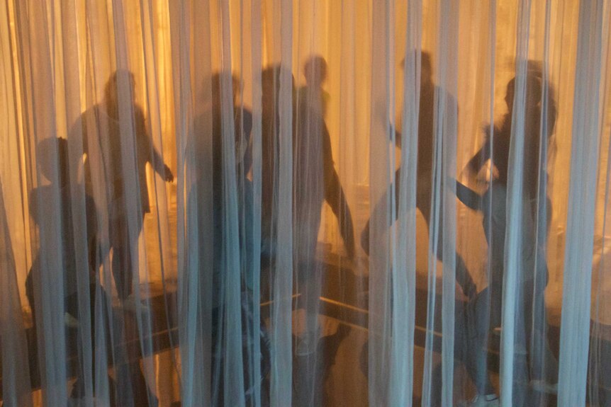 A handful of silhouetted figures behind curtain