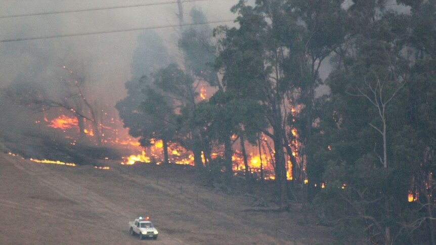 Police car heads away from the bushfires.