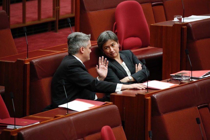 Finance Minister Mathias Cormann gestures with left hand, speaks to Penny Wong in the Senate