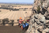 a man abseils with a stretcher on a cliff face.