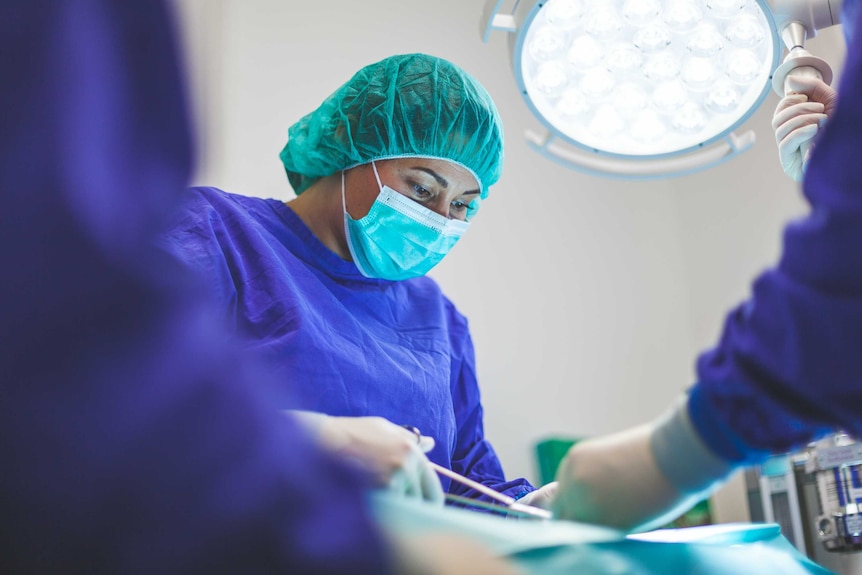 A surgeon dressed in purple hospital scrubs and wearing green hair cap and face mask performs operation under bright lights