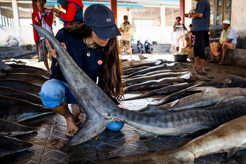 A young woman in a cap inspections a shark at a wet market, with fishermen looking on