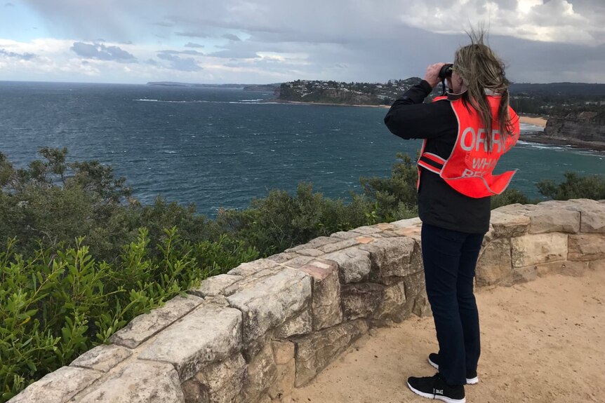 A woman with binoculars and a red vest looks out to sea.