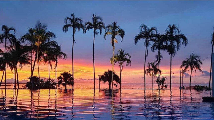 A beachside infinity pool lined with palm trees glistens in the light of the sunset.