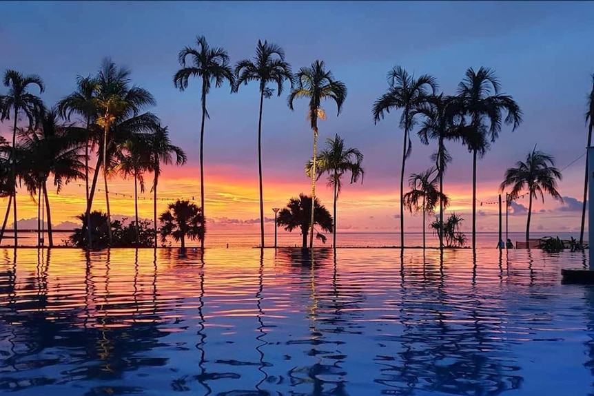 A beachside infinity pool lined with palm trees glistens in the light of the sunset.