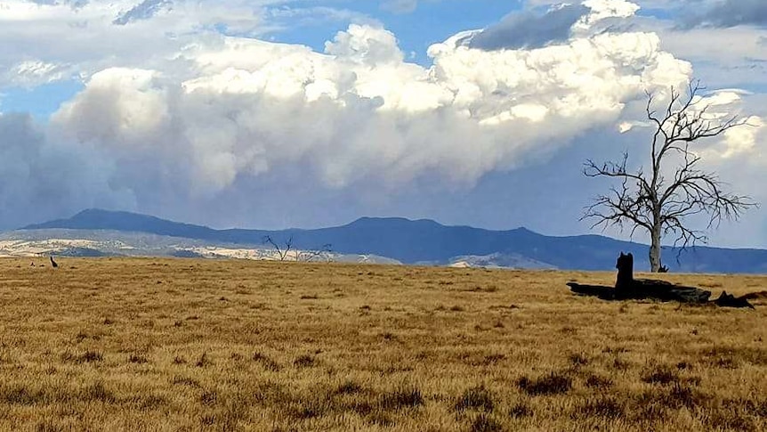 Panorama of smoke over Ellendale from a bushfire at Elderslie, near Pelham