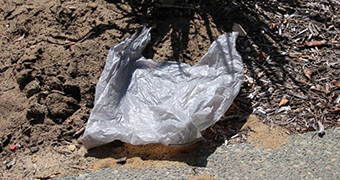 A plastic bag lying on the ground.