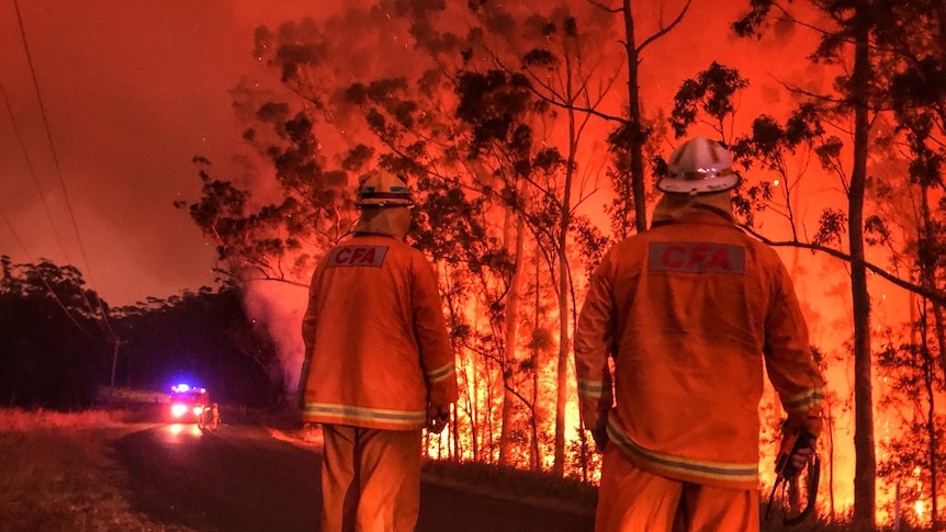 Firefighters near burning bushland.