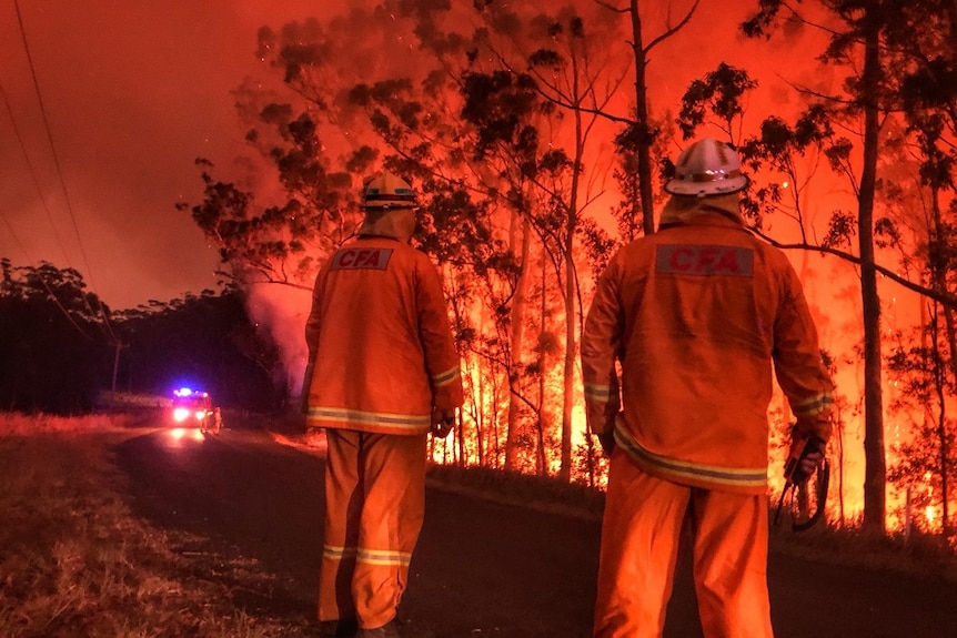 Firefighters near burning bushland.