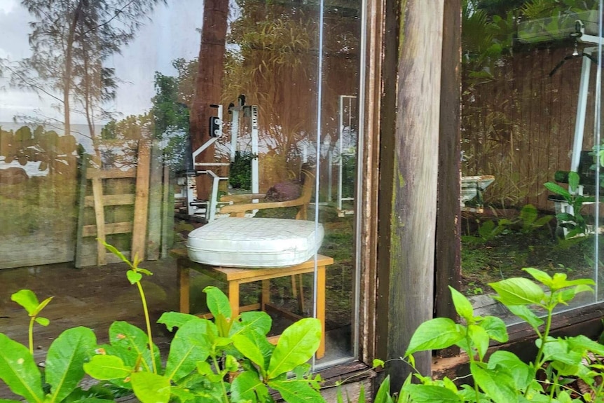 Unused gym equipment visible through glass with tropical plants growing around