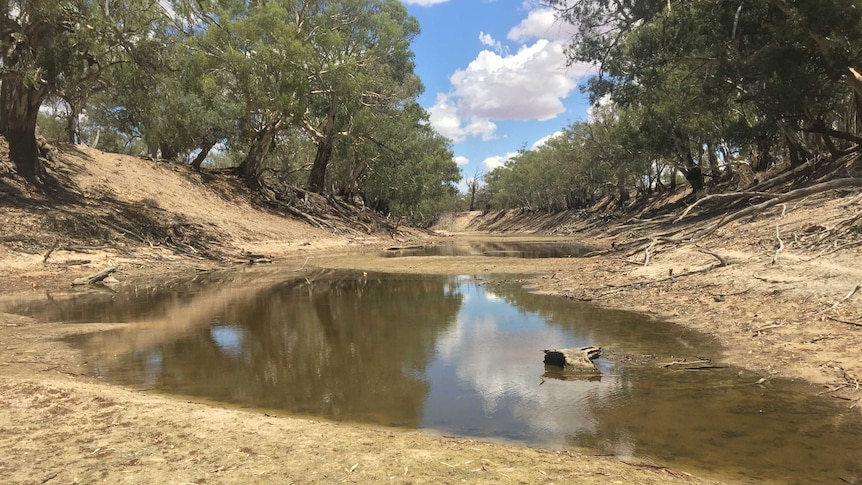 Puddles left in the Darling River. Photo 2016.