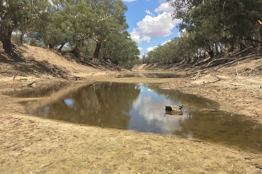 Puddles left in the Darling River