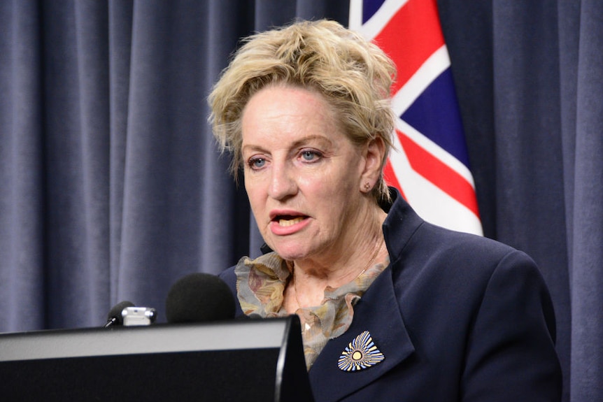 Alannah MacTiernan standing at a podium in front of an Australian flag.