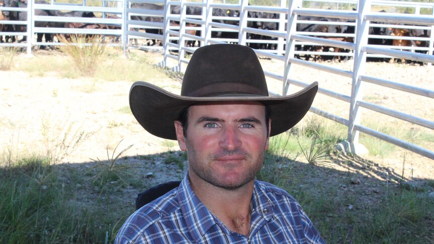 Quadriplegic cattle producer Rob Cook at the cattle yards in his wheelchair.