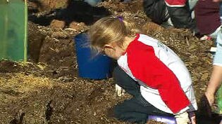 girl planting seedling