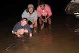 Researchers with a sawfish.