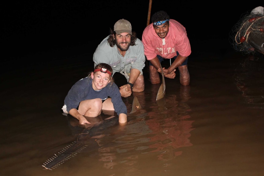 Researchers with a sawfish.